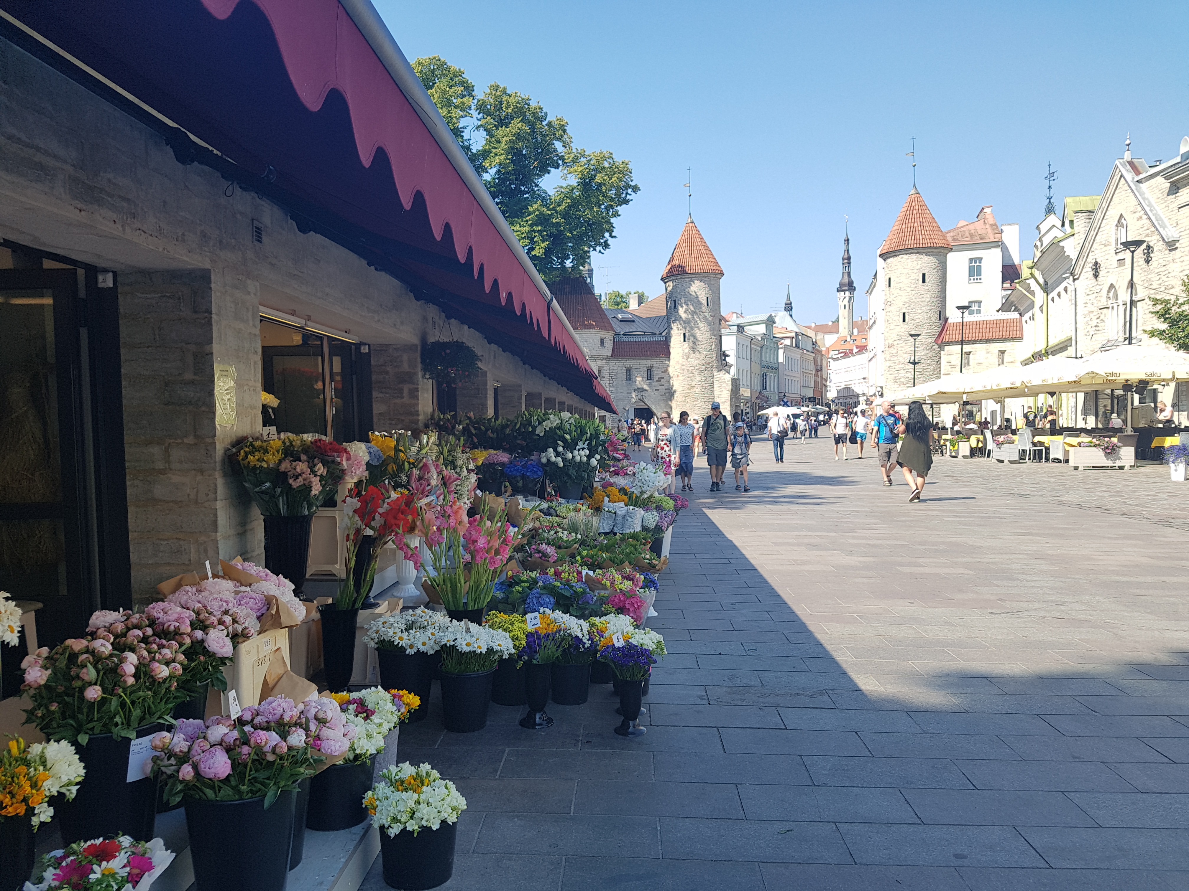 20180717_111705.jpg