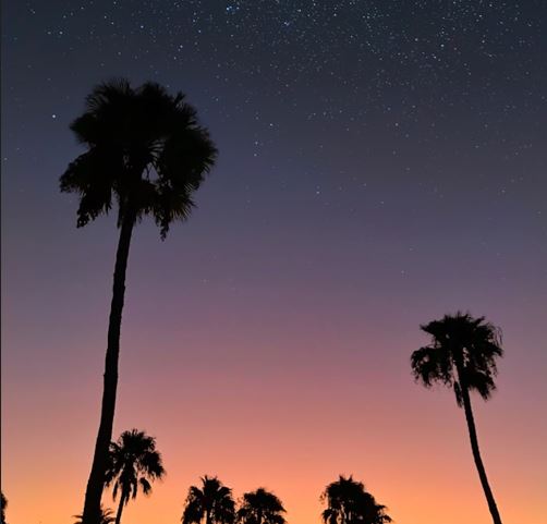 우리는 마침내 태초의 낙원을 찾았다 - 스페인 카나리아 제도