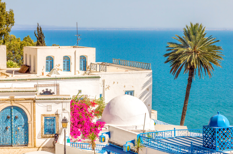 [2026 GRAND OPEN] 튀니지 정답여행 12일