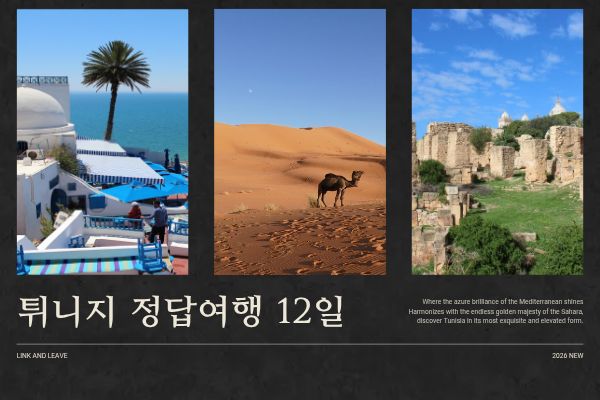 [2026 GRAND OPEN] 튀니지 정답여행 12일
