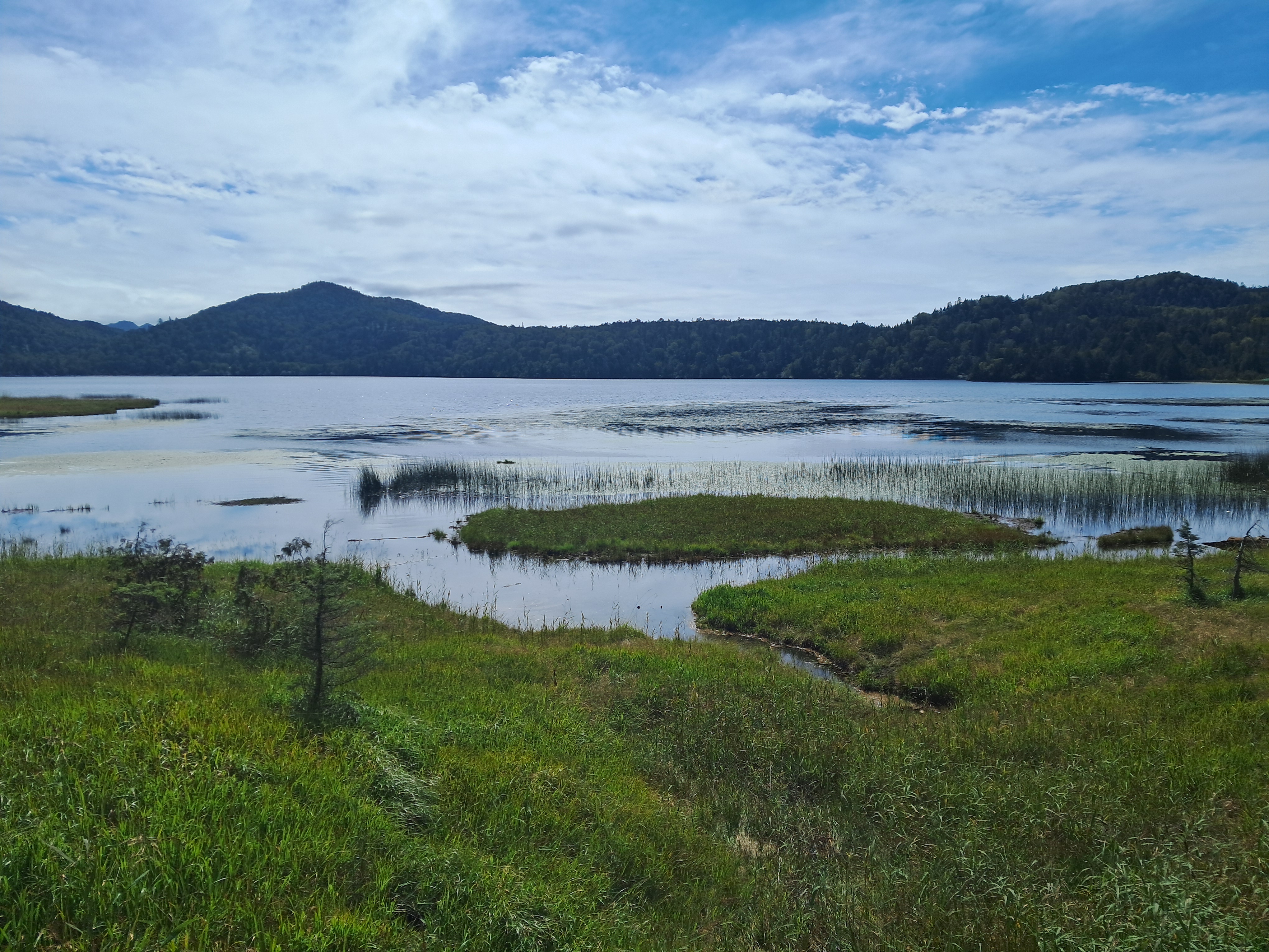 부모님을 보내드렸는데.. 제가 더 뭉클한 여행이네요