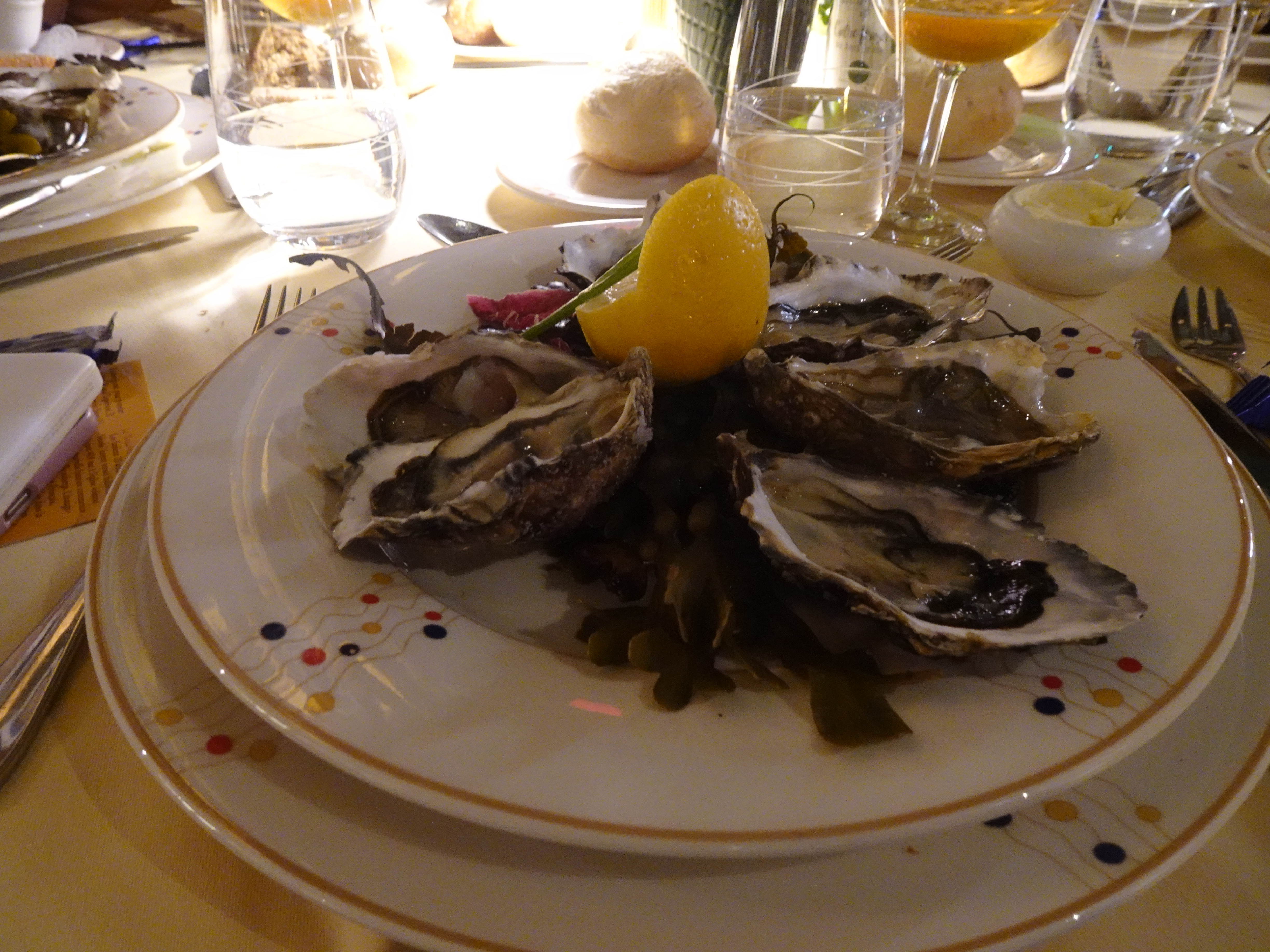 친구랑 둘이 떠난 프랑스 여행🥰!!