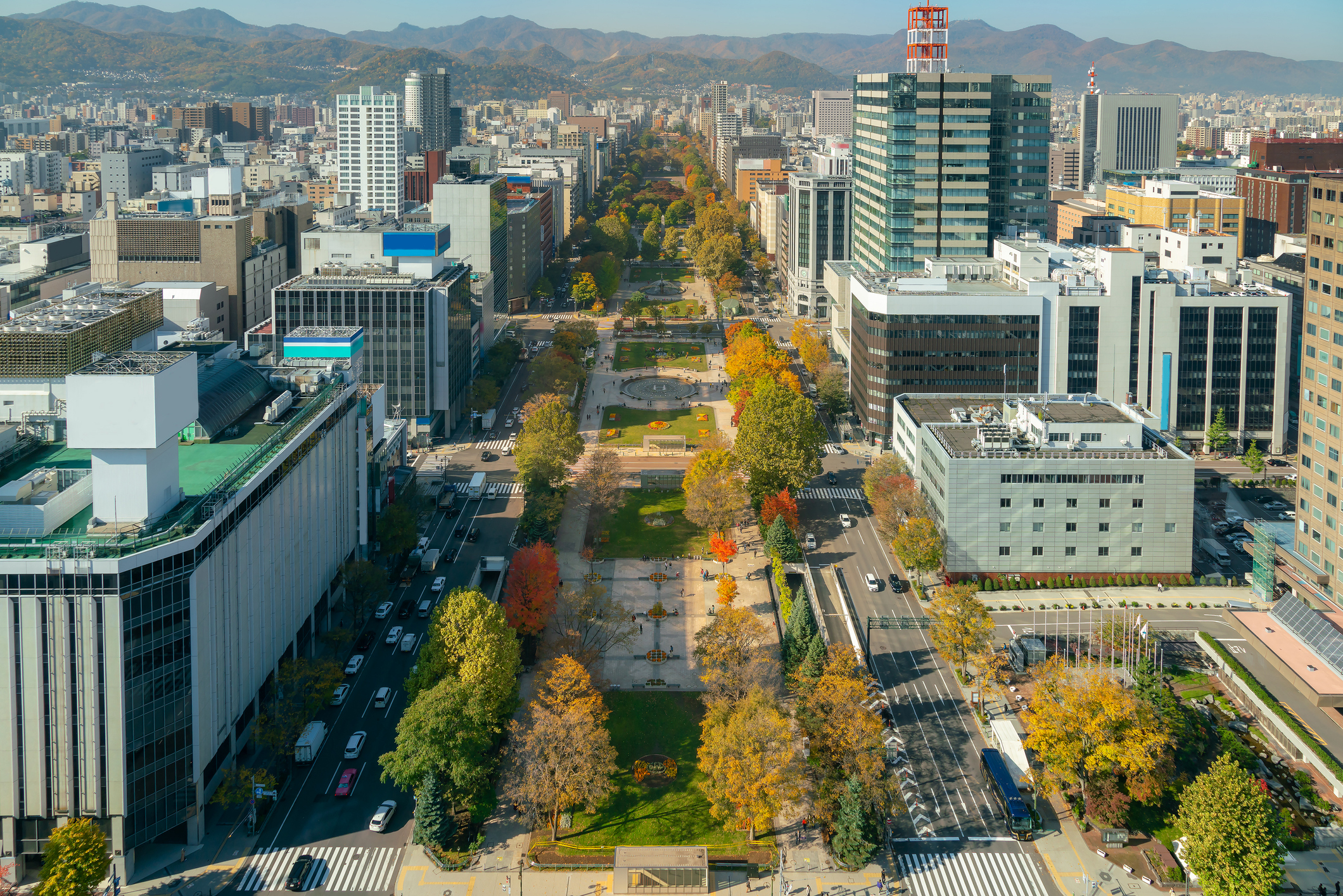 상품 이미지2